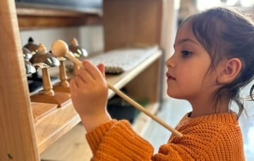 Montessori Activity