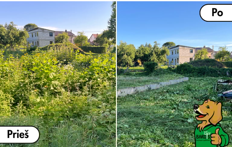 pries ir po - aukštos žolės pjovimas sudėtingomis salygomis