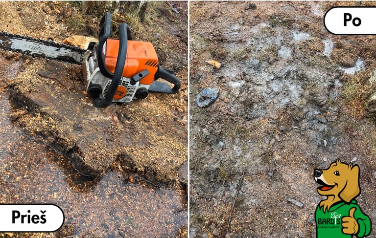 Kelmų šalinimas prieš ir po – frezavimo rezultatas sklype