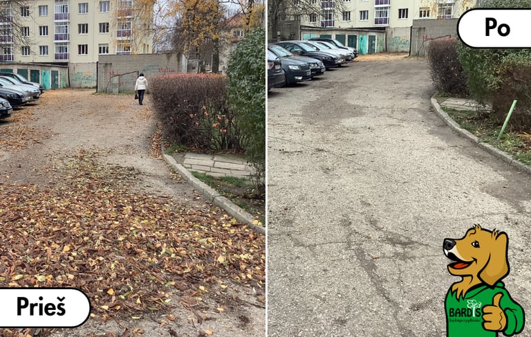 Lapų grėbojimas (tvarkymas) kieme pries ir po