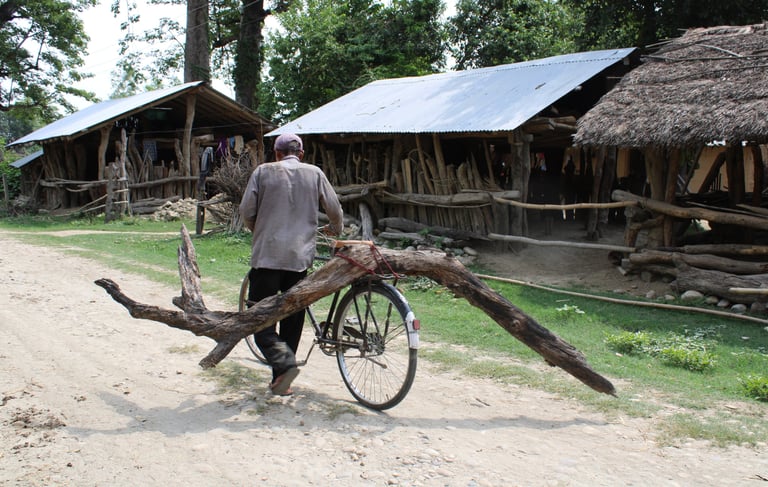 collecting wood in the village of Thakurdwara