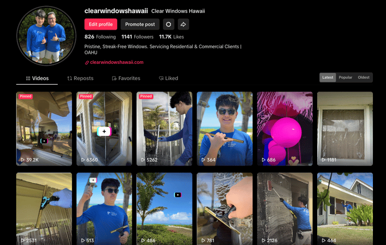 Window Cleaning TikTok