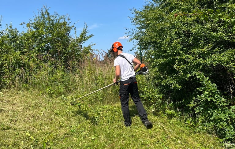 Apleistų sklypų tvarkymas – krūmų ir savaiminės augmenijos šalinimas trimeriu