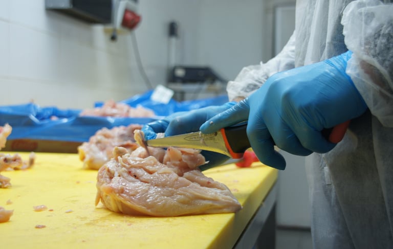 izmir toptan tavuk baget