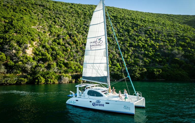 knysna catamaran cruise