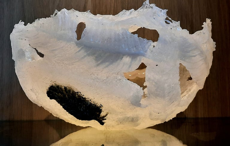 Glass object relief of white feathers and one black little feather