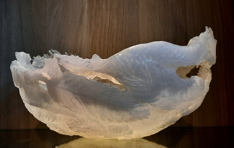 Glass object relief of white feathers and one black little feather