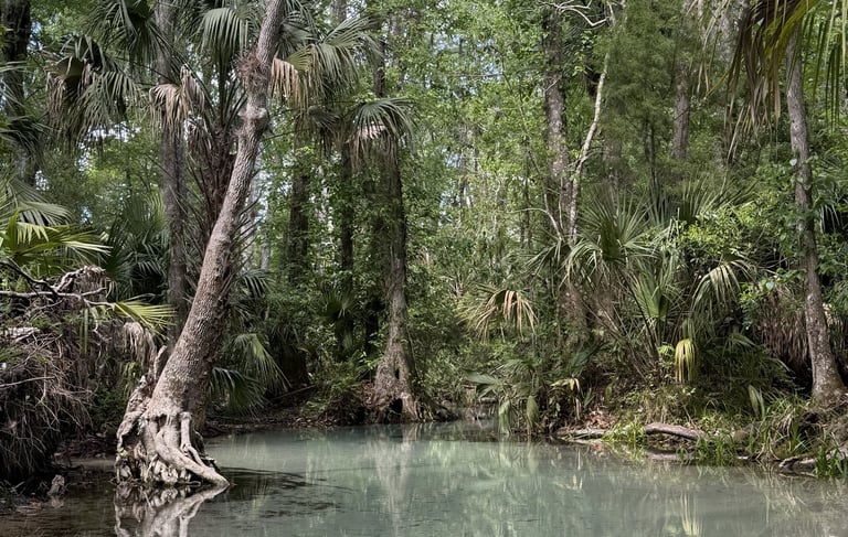 Rainbow Springs