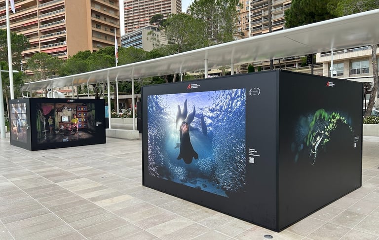 PA2F environmental photographer of the year 2023 exhibition at Lavoratto beach in Monaco.