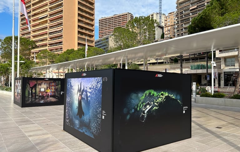 banded gecko exhibited at Monaco as part of the PA2F environmental photographer of the year 2023