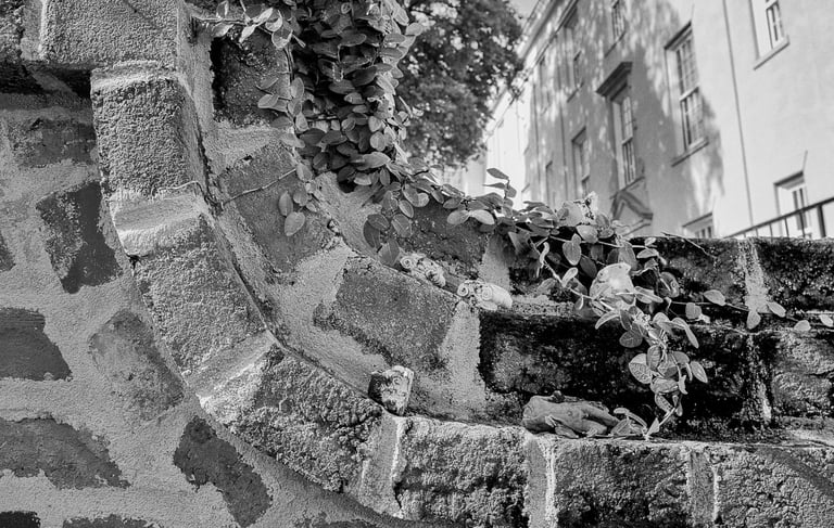 a black and white photo of a stone wall