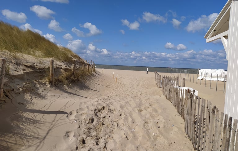 Bien-être à l'école