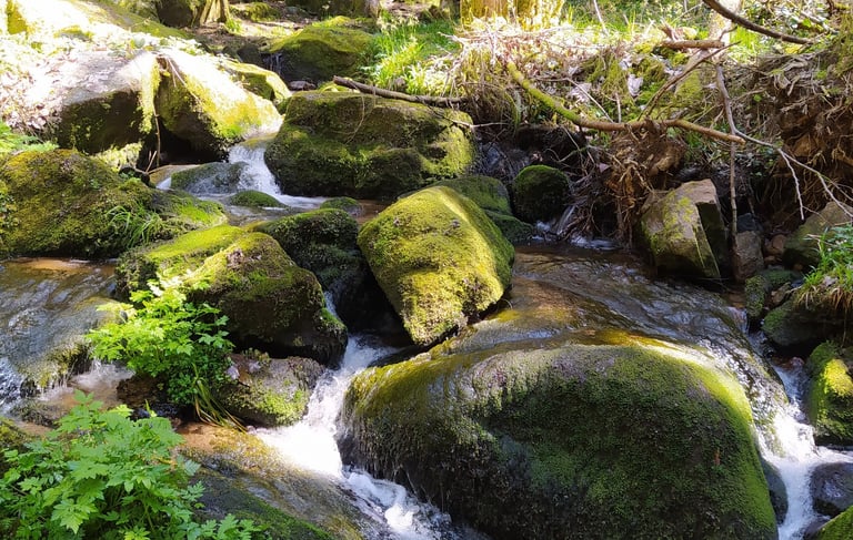 Orientation Scolaire