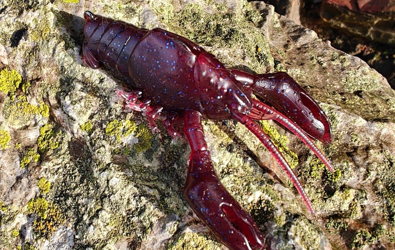 basslures red craw
