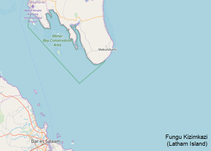 A map of Zanzibar highlighting the best fishing spots, including Kizimkazi, Latham Island