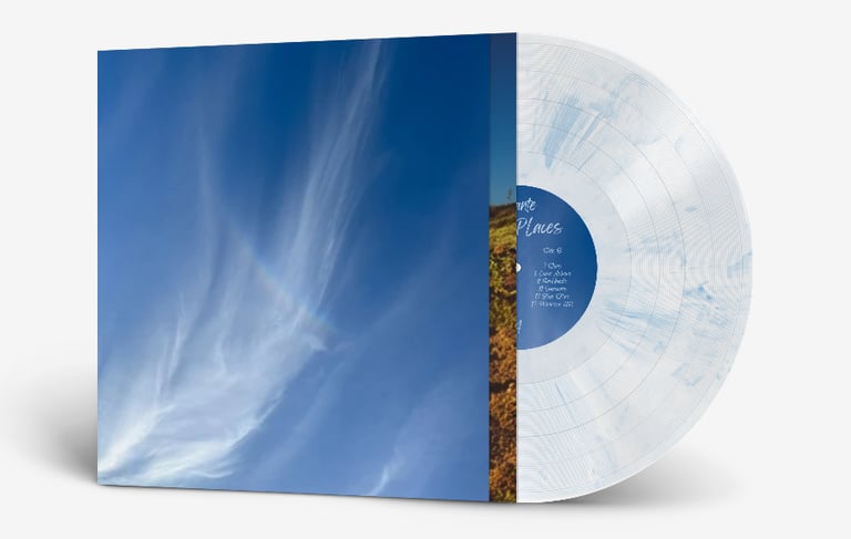 Dante 'New Places' vinyl record with a blue sky 