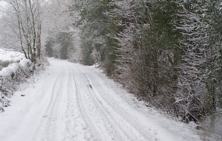 Spark Bridge Snowy Christmas Scene