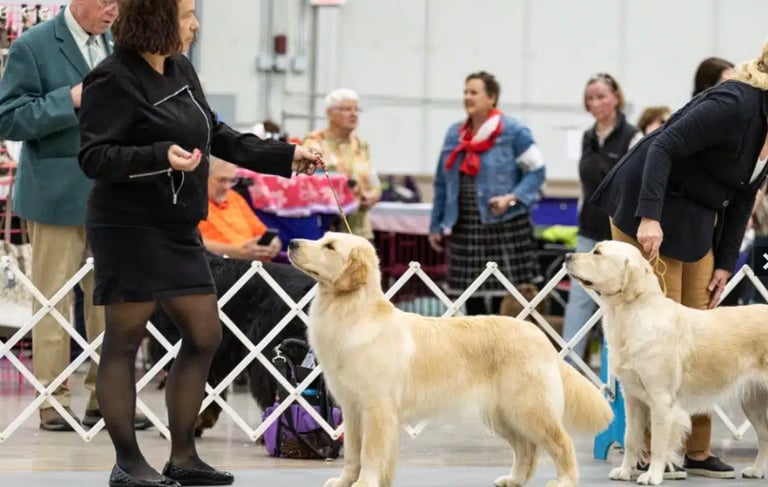 Platte Valley Kennel Club All Breed Show 2024