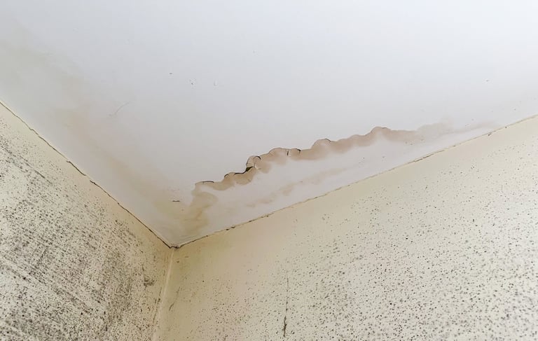 statybos-ekspertize-defektu-fiksavimas-ekstata