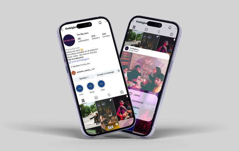 gestion réseaux sociaux groupe Rock