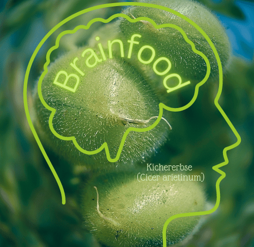 Brainfood Kichererbse