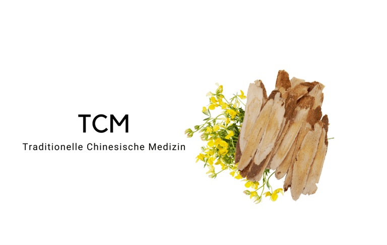 TCM Traditionelle Chinesische Medizin Sanapendium