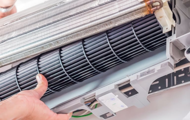 a person holding a fan and pointing at a fan