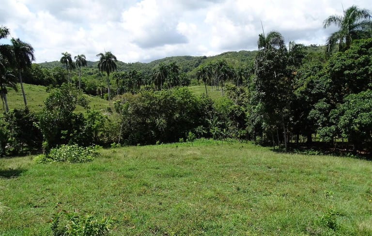 Smart Investment. Real Profit