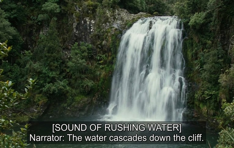 Captions Services in UAE