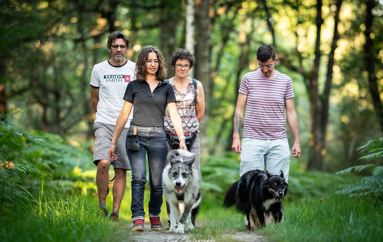 Apprendre à promener son chien avec Viens Balader mon chien