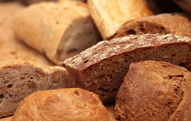alimentae-generazione-goals-educazione-bologna-emilia-romagna