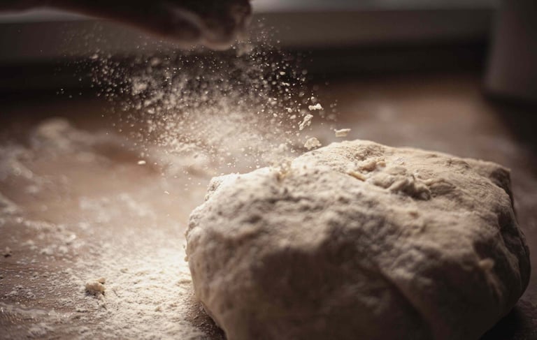 alimentae-generazione-goals-educazione-bologna-emilia-romagna