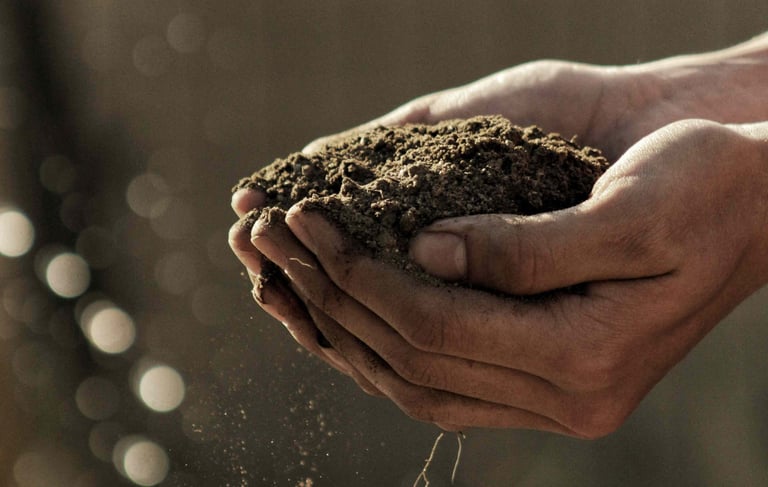 alimentae-generazione-goals-educazione-bologna-emilia-romagna