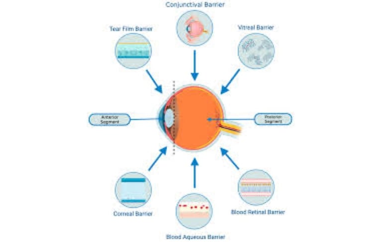 Retinitis Pigmentosa Fasting, Autophagy, Stem Cells, and Emerging Therapies