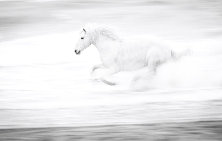Artistic motion blur of a white Camargue horse galloping through ocean waves.