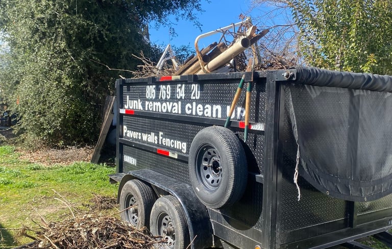 Yard Cleanout