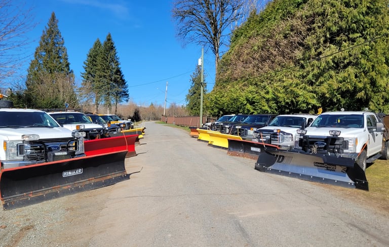 picture of a street with plow trucks parked down both sides