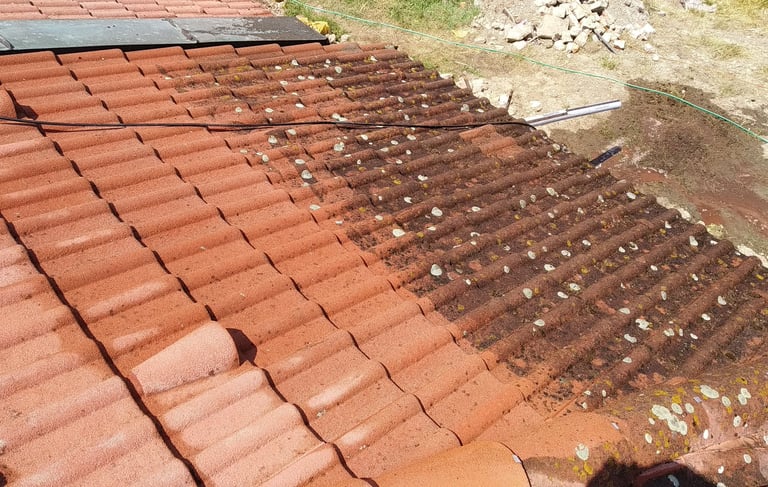 mytí-a-čištění-střechy-od-mechu-opava