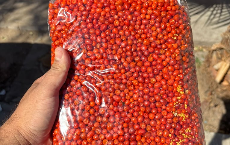 Chiltepín Rojo Silvestre por Kilos y Mayoreo de primera calidad