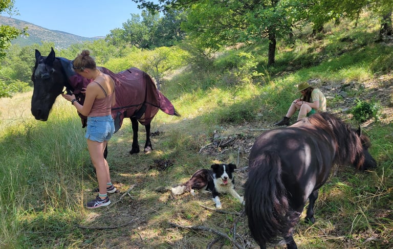 two women are relaxing around grazing horses and a relaxed lying dog