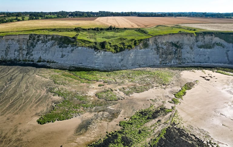 Photo drone d'une vue d'une plage avec vue la falaises d'arromanches