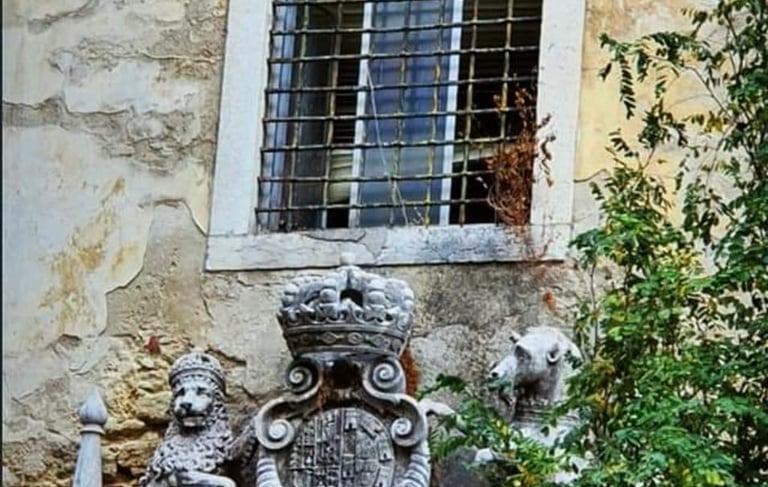 Imóvel Público Devoluto