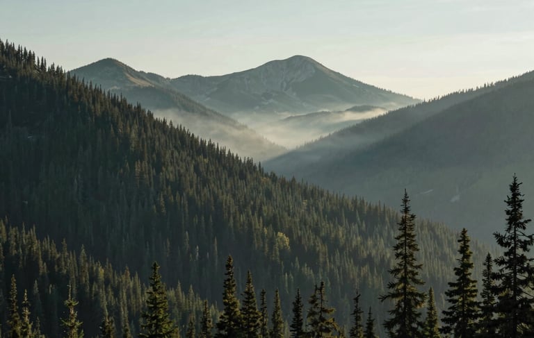 A professional and cinematic landscape photograph of a North American mountain range at dawn. The scene features dense evergreen forests and mist rolling through the peaks. The lighting is soft and natural, using a palette of deep forest green, sage, and misty sky blue. Minimalist and calm style.