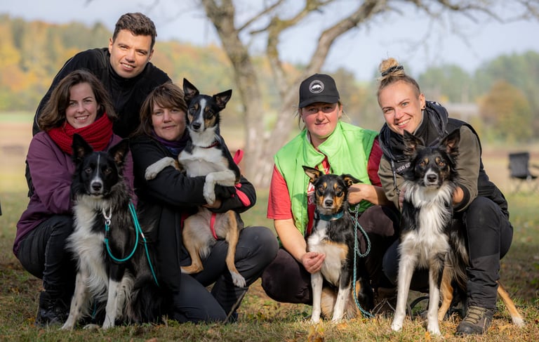 Border Collie breeder | Herding instructor | Dog training | Herding judge