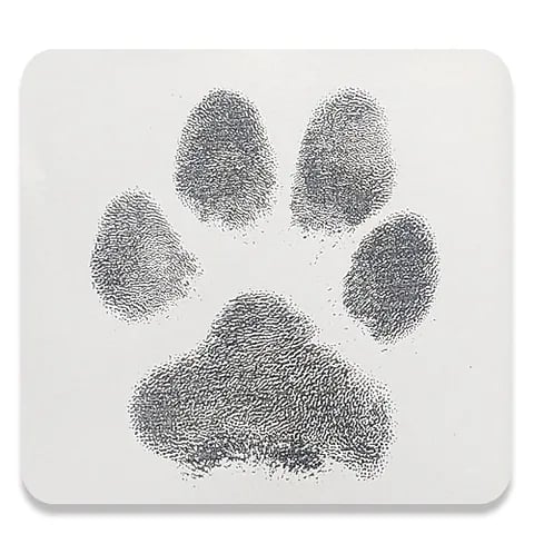 Inkles wipe kits are used to capture your pet's paw print for silver jewellery.