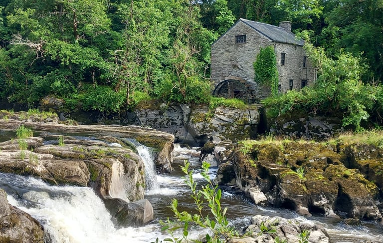 The Teifi Trail at Cenarth Falls