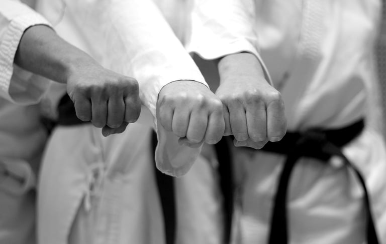 baisieux arts martiaux karaté taï jitsu