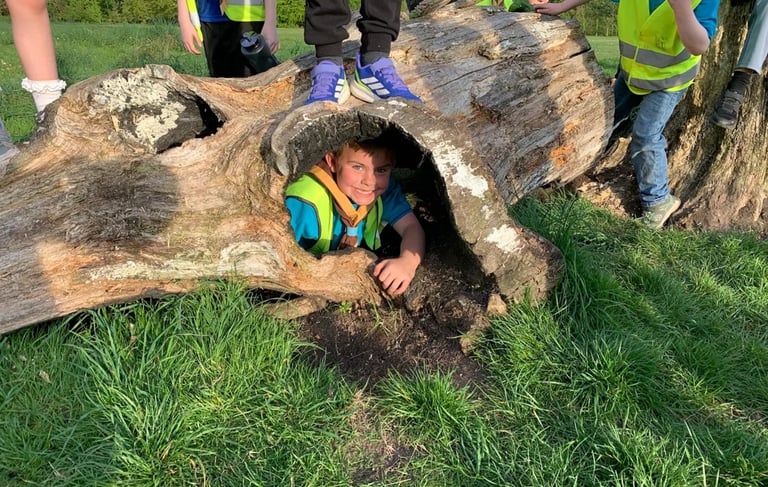 Beaver Scout crawling through a hollow log during an outdoor adventure activity.