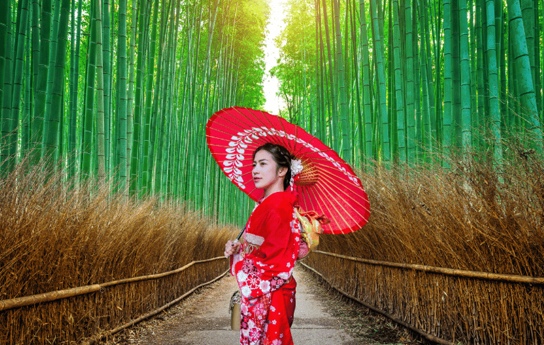 Bosque de Bamboo en Kioto, Japón