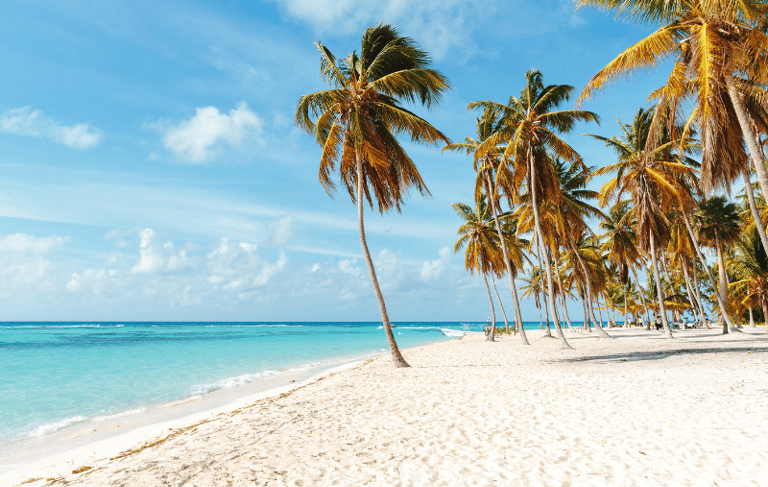 Playa caribeña